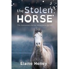 Step Kitap The Stolen Horse - Dyslexia Friendly