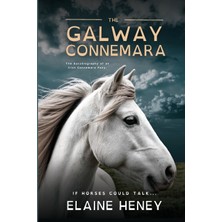 Step Kitap The Galway Connemara | The Autobiography Of An Irish Connemara Pony - Dyslexia Friendly