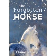 Step Kitap The Forgotten Horse - Dyslexia Friendly