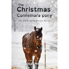 Step Kitap The Christmas Connemara Pony - Dyslexia Friendly
