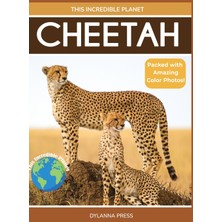 Step Kitap Cheetah: Fascinating Animal Facts For Kids