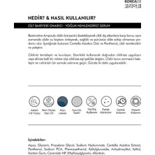 Str Store Centella ve Cica ve Ceramide Onarıcı, Aydınlatıcı, 24 Saat Nemlendirme Ampoule