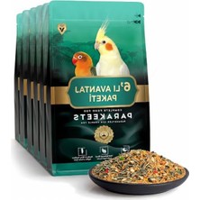 Die Grup Paraket Yemi Seti, 6 x 1 Kg, Doğal Tohum ve Vitamin Karışımı