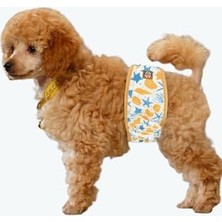 Die Grup Erkek Köpek Çiş Bezleri, 3'lü Avantajlı Paket, 1 Paket 3 Farklı Desen (Ocean, Small)