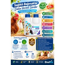Ovumix Tavuklar Için Sıvı Probiyotik Bağırsak Sağlığı & Yumurta ve Et Verimi Destekleyici 125 ml