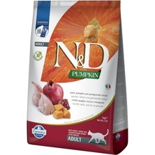 Die Grup Pumpkın Tahılsız Kedi Bıldırcın & Nar 5 kg