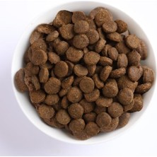Die Grup Morina, Balkabağı ve Kavun Aromalı Puppy Yemi, 2,5 kg