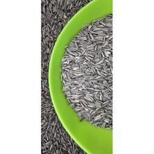 Die Grup Sultan Papağanı Cennet Papağanı Çekirdeği, 1 kg          [enerji Sınıfı A+]