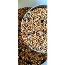 Die Grup Forpus Papağanı Yemi, 1 kg          [enerji Sınıfı A+]