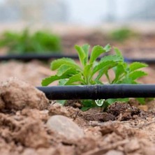 Die Grup 50 Metre Uzunluğunda Deliksiz Damla Sulama Hortumu - 16 mm Çap
