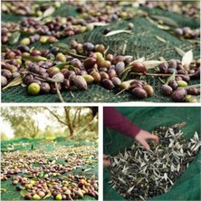 Die Grup 3x2 Metre Zeytin Sergisi Örtüsü, Meyve Toplama ve Gölgeleme Için Kullanışlı