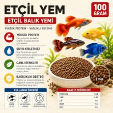 Die Grup Etçil Akvaryum Balık Yemi, Granül 500–800 Micron, Yüksek Proteinli%50, Hızlı Büyüme, Canlı Renk, Tüm Tropikal Balıklar Için (100 Gr)