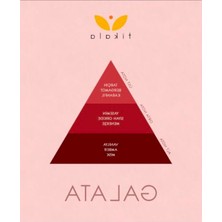 Die Grup Galata - Bambu Çubuklu Kristal Oda Kokusu 700 ml - Home Fragrance 700 ml
