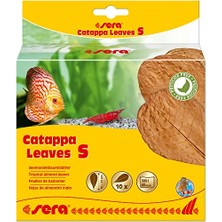 Die Grup Catappa Leaves S 10-15 cm (10 Adet) - Doğal Su Arıtımı Için Deniz Badem Ağacı Yaprakları