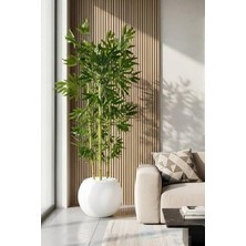 Die Grup 170 cm Yüksekliğinde Yapay Bambu Ağacı, 27X33 cm Küre Saksıda