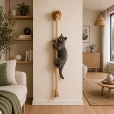 Die Grup Corda Duvara Monte Kedi Tırmanma Halatı, Doğal Halat, 22 mm Çap ve 1.5m Uzunluk