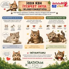 Die Grup Doğal Matatabi Çubuğu, 5 Adet, Kedi Diş Bakımı Için 12 cm