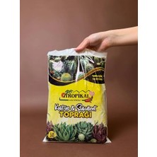 Die Grup Tropikal Kaktüs ve Sukulent Toprağı 2,5 Litre, Cocopeat, Dere Kumu, Kil Bilyesi ve Perlit Içeren Hazır Karışım, Yüksek Drenajlı Kaktüs Toprağı, Dezenfekte Edilmiş