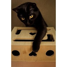 Die Grup Kedi Tırnak Törpüsü ve Oyun Kutusu (L Model) - Doğal Ağaç, Ev Kedileri Için