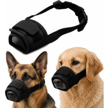 Die Grup Nefes Alabilir Fileli Köpek Ağızlığı, Xl Beden