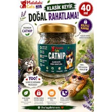 Die Grup Catnip Kedi Nanesi Doğal,premium