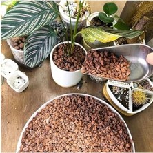 Die Grup Asenya Kırmızı Pomza Taşı 3-8 mm 15 kg Volkanik Cürüf Ponza Lav Kırığı Lav Taşı