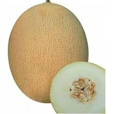 Die Grup Tohum Dünyam Ananas Kavun Tohumu 15 Adet Tohum Bal Kavun