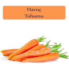 Die Grup Havuç Tohumu 1 Paket (3GR=2500+ Adet) Nantes Havuç Tohumu