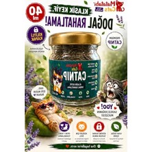Die Grup Catnip Kedi Nanesi Doğal,premium