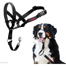 Die Grup Durağı'nın  Headcollar, Köpek Harness Küçük, Orta ve Büyük Köpekler, Siyah, Boyut 4 Için, Lead Üzerinde Çekme