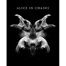 Zepplin Giyim Alice In Chains Holllow Büyük Sırt Patch Yama
