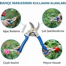 SBN - Store Profesyonel Bahçe Budama Makası Paslanmaz Çelik Keskin Bıçak Ergonomik Kaymaz Sap Dayanıklı Dal Bitki Çiçek Kesme Makası,bahçe Budama Makası Paslanmaz