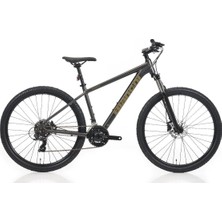 Bianchi Magma 27.3 27.5 Jant 21 Vites Tourney 43 cm Gri Bakır Renk  Dağ Bisikleti