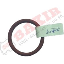 Bcs 300805