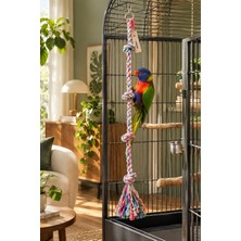 Vixpet Papağan Tırmanma Halatı Çok Renkli 80 cm Çap 18 mm | Kafes Oyuncağı | Stres Ipi | Pamuk Halat | Jako, Amazon, Sultan, Konur, Monk, Lori, Forpus