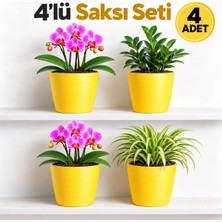 Hüskon Ticaret 4’lü Sarı Dekoratif Saksı Seti – 4 Adet Iç Saksı + 4 Adet Dış Saksı