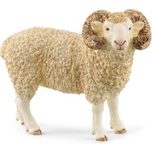 Kryon Schleich Koç