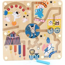 Kryon Magnetic Circus Maze By Michelle Carlslund Manyetik Sirk Labirenti