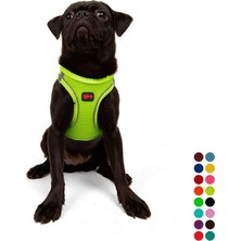 Kryon Air-Mesh Küçük ve Orta Irk Kedi Köpek Göğüs Tasması - Yumuşak, Nefes Alabilir, Dayanıklı (Neon-Sarı, Medium)
