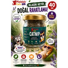 Kryon Catnip Kedi Nanesi Doğal,premium
