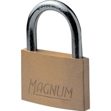Kryon CAD50 Magnum Prinç Asma Kilit Anahtarlı, Altın, 6,6 x 5 x 1,1 cm