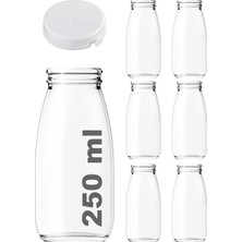 Kryon 250 ml Şeffaf Sürahi Süt, Ayran, Su, Limonata, Meşrubat Şişesi 250 cc Yırtmalı Kapaklı Cam Şişe 6 Adet (6, Beyaz Kilitli Kapak, 250)