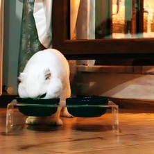 Kryon Gobypet Mama Kabı, Pleksi Kedi Mama ve Su Kabı ile Paspası, Kedi Mama Su Kabı, Çift Hazneli ve Çift Hazneli Kedi Mama, Köpek Mama Kabı, (Siyah Seramik)