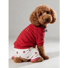 Kemique Tatlı Çilek Duo – Çilekli Köpek Tulum & Sweat Kombini