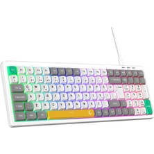 Kryon Pure Kablolu Oyuncu Klavyesi Rgb Aydınlatmalı Beyaz/gri