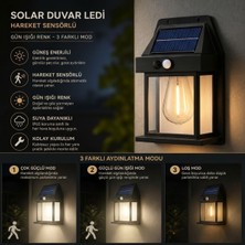 Hereveoyuncak Ampul Model 3 Modlu Solar LED Duvar Lambası, Güneş Enerjili, Şarjlı Kablosuz Dış Meekân Apliği, Bahçe ve Kapı Lambası