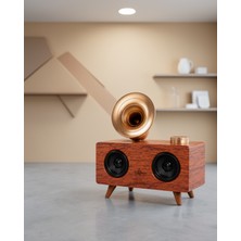 Astraltech Retro Radyo Tasarımı Bluetooth Hoparlör Ahşap Renk