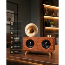 Astraltech Nostaljik Gramafon Radyo USB Tf Kart Aux
