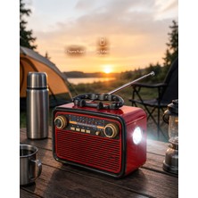 Astraltech Bluetoothlu Ahşap Tasarım Nostalji Radyo 1 kg