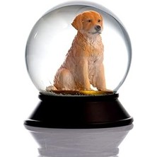 Mabelme Store Cam ve Reçine Altın Patiler Köpek Golden Retriever Kar Küresi Hediye